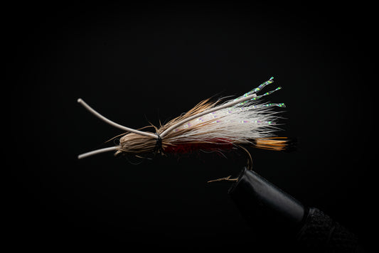 Tarantula Red
