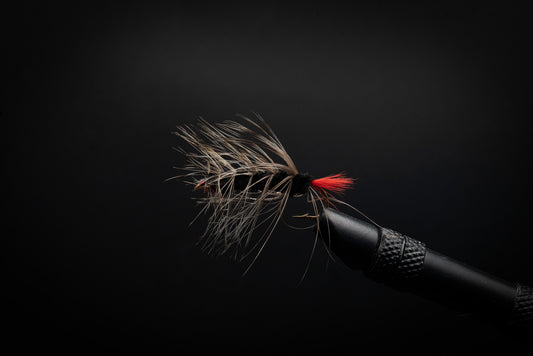 Woolly Worm Black
