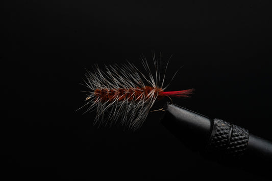Woolly Worm Brown