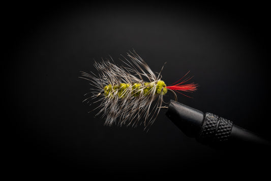 Woolly Worm Olive