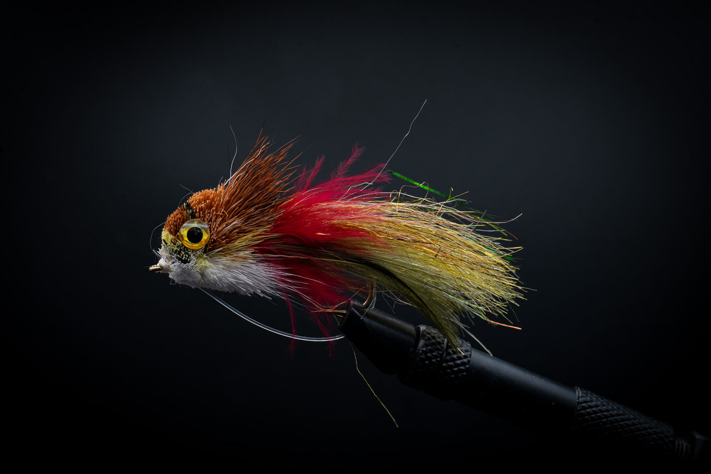 Waker Golden Shinner