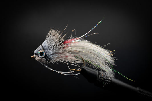 Waker Shad