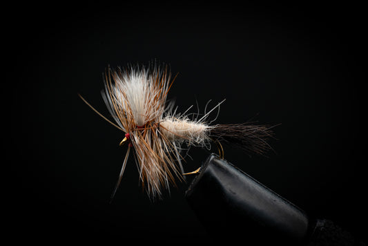 Wulff, Ausable
