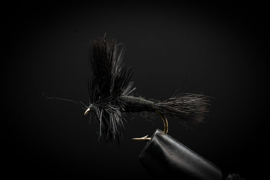 Wulff, Black
