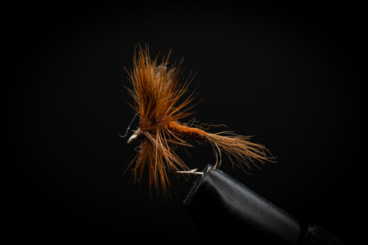 Wulff, Brown