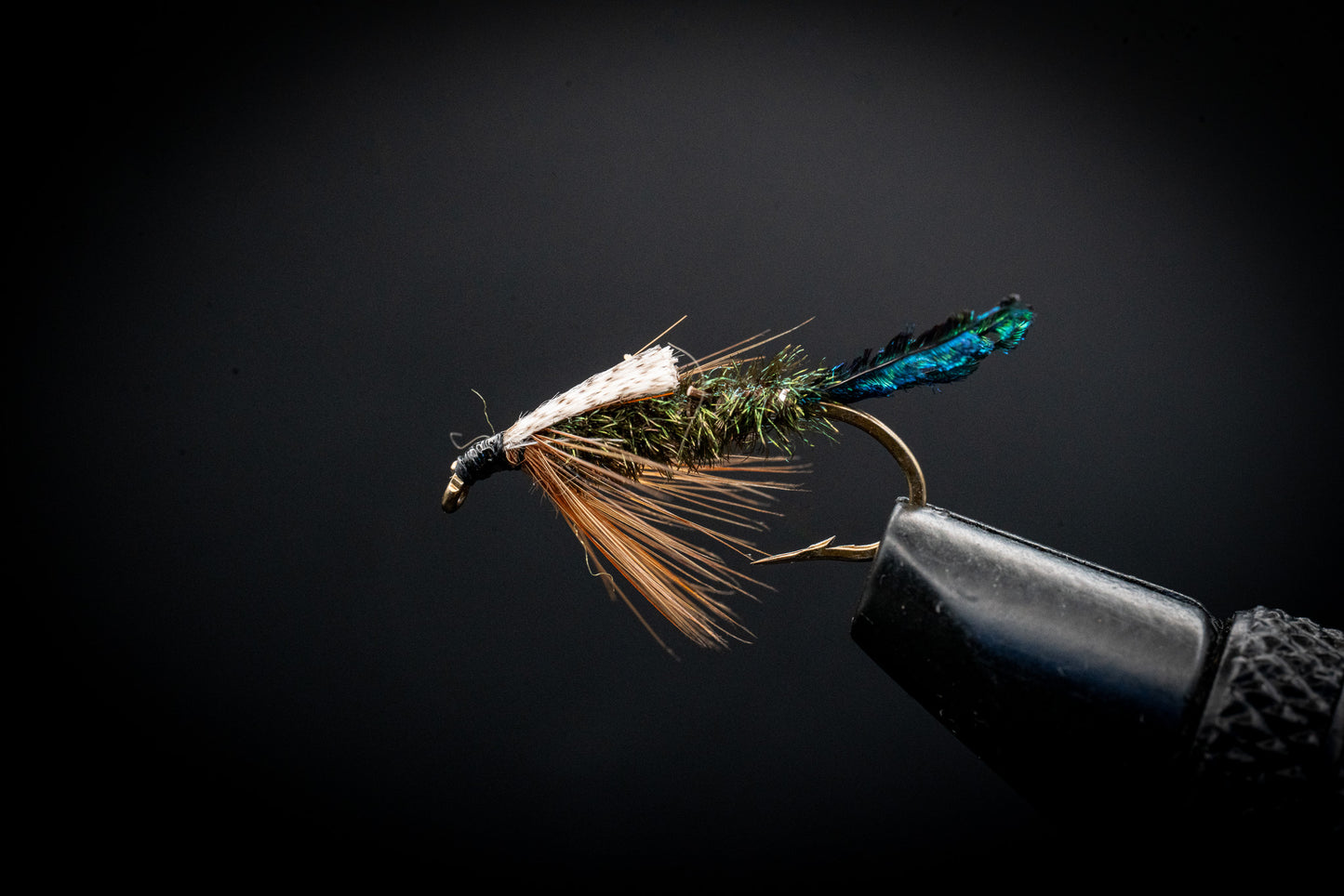 Zug Bug