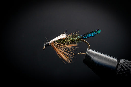 Zug Bug